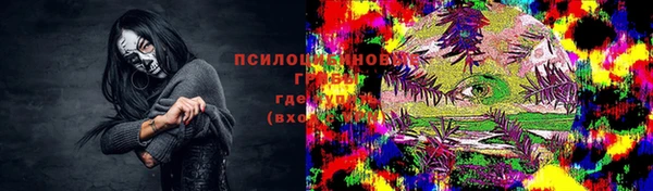 не бодяженный Верея