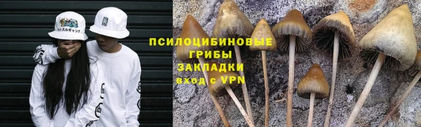 не бодяженный Верея