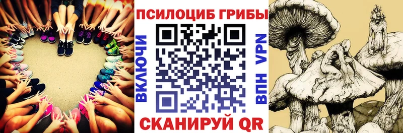 Псилоцибиновые грибы Magic Shrooms  блэк спрут ссылки  Каменск-Шахтинский 